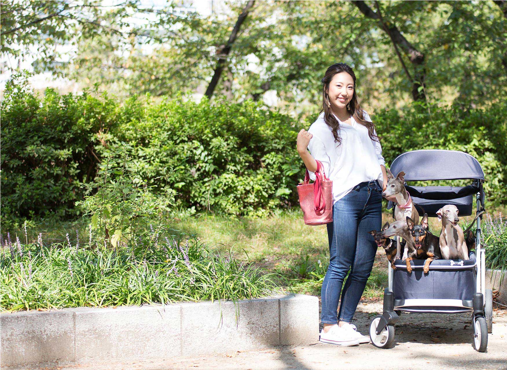 ピッコロカーネのペット用カートとペット