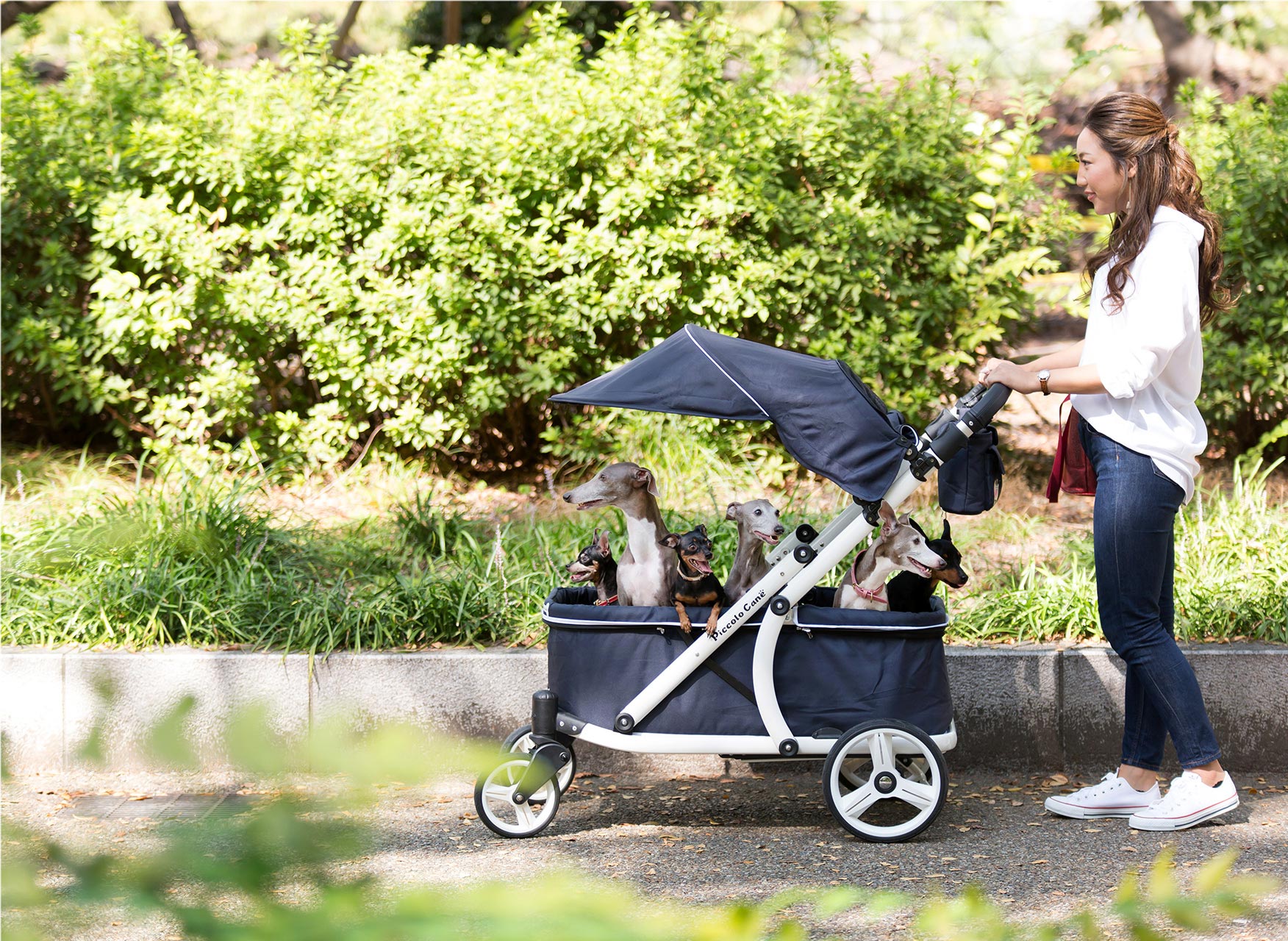 ピッコロカーネのペット用カートとペット