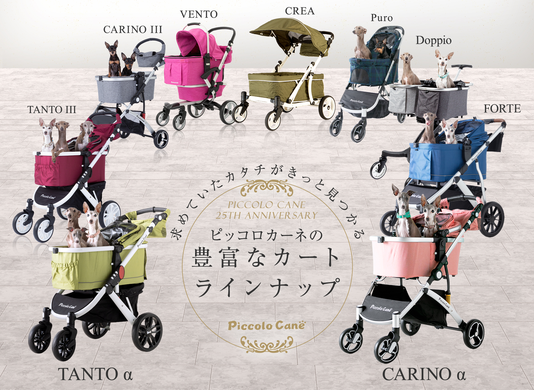 ピッコロカーネの豊富なカートラインナップ